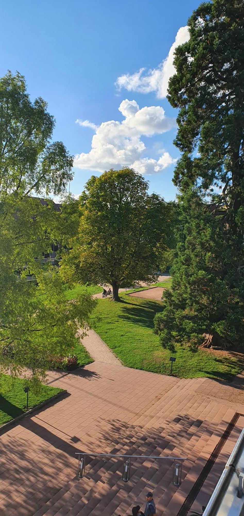 Haus Ludwig Apartment Freudenstadt Bagian luar foto